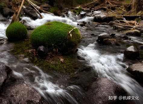 癸水 戊土|【八字命理】基础理论逻辑——戊土